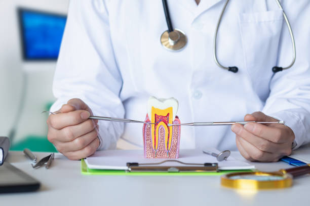 Best Knocked-Out Tooth (Avulsed Tooth) Treatment in Port Republic, NJ